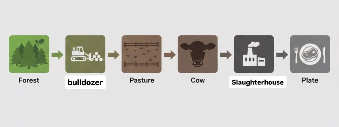Is Your Beef Connected To Amazon Deforestation? Here’s What The Report ...