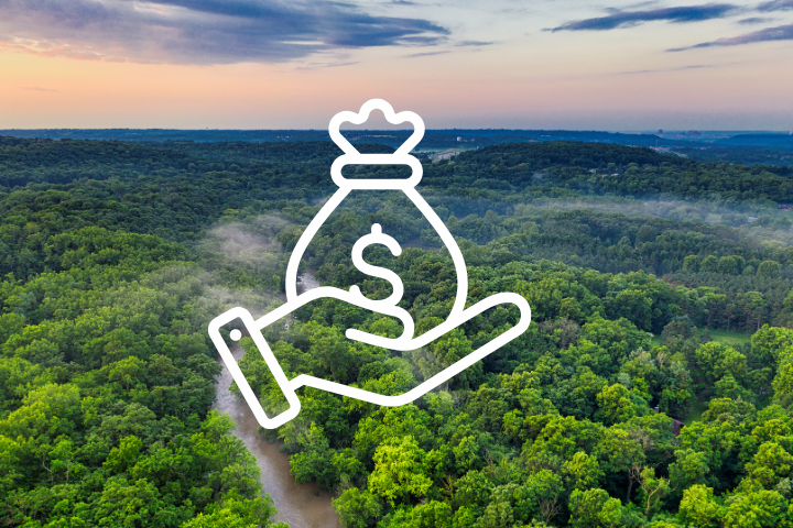 World Leaders At Climate Summit In Brazil Launch Tropical Forests ...