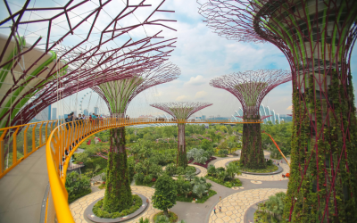 Guess Which Cities Top The Global Sustainability Rankings In 2025