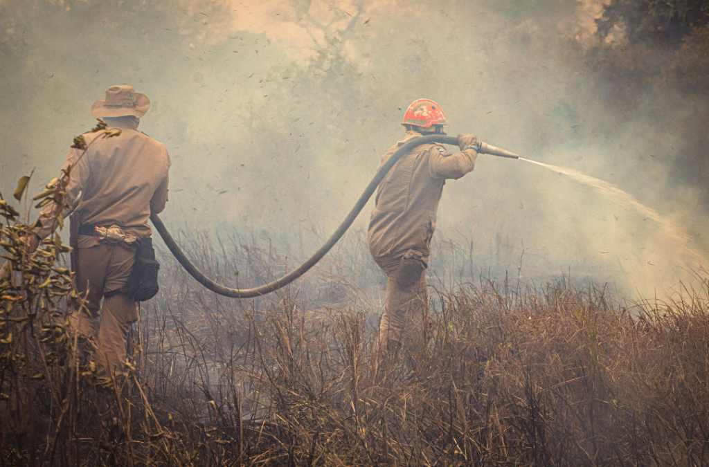 UK Wildfires Burned More Land in 2025