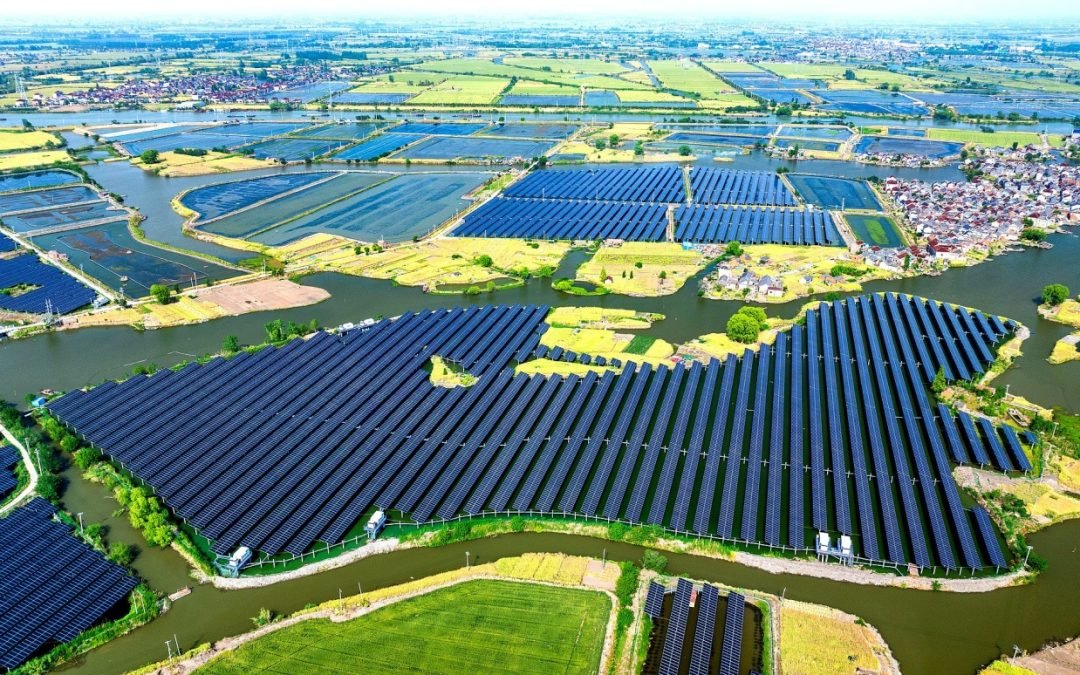 China’s Green Ambition: Forest Expansion, Energy Efficiency, And Bold Carbon Goals