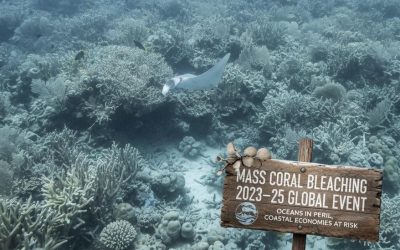 Mass Coral Bleaching: What The 2023–25 Global Event Means For Oceans And Coastal Economies