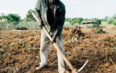 Gates Foundation Commits $1.4 Billion To Support Farmers Facing Climate Extremes