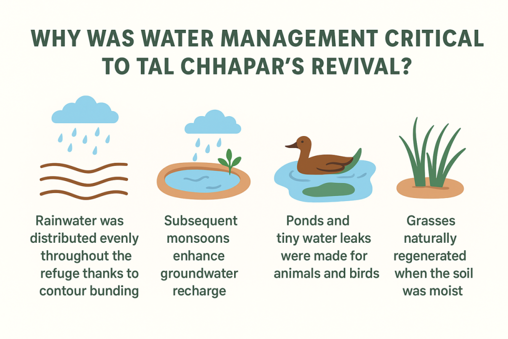 Grassland Restoration