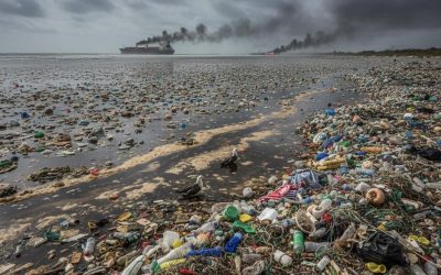 Ubiquitous And Untenable: The Global Plastic Pollution Challenge