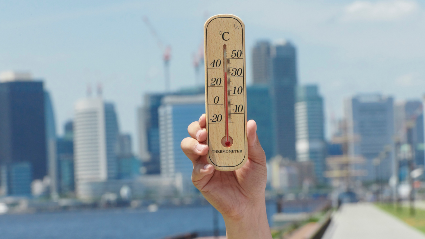 UK Recorded Hottest and Sunniest Year Ever in 2025