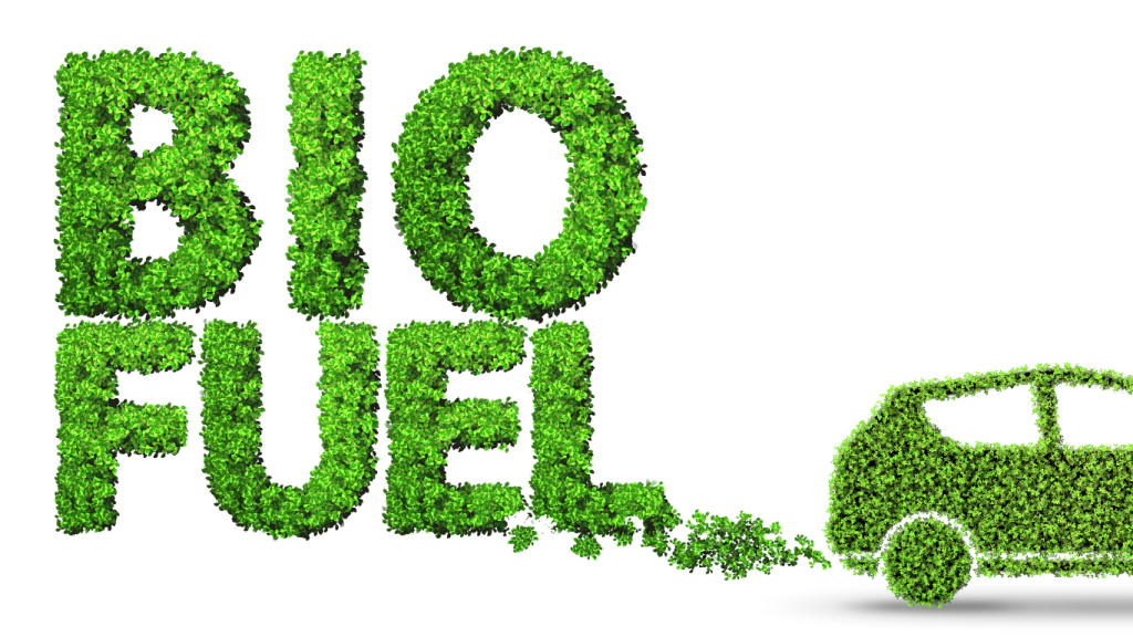 U.S. Plans Early March Decision on 2026 Biofuel Quotas