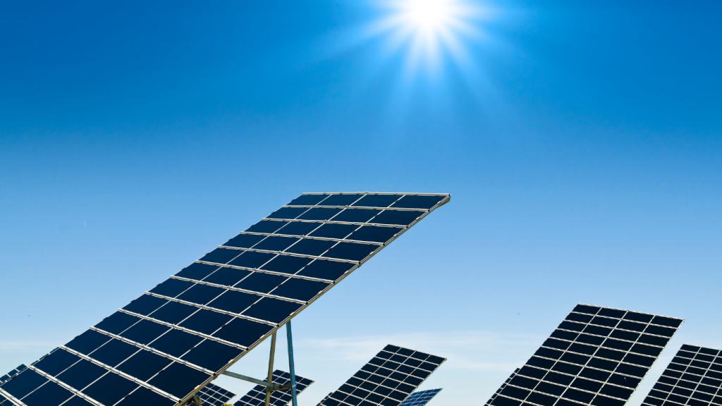 India Curtailed 2.3 TWh of Solar Power in 2025