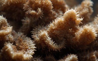 Global Spread Of Deadly Flesh-Eating Fungus Raises Alarm Among Scientists