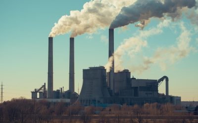 EU And UK Set To Open Negotiations On Carbon Markets