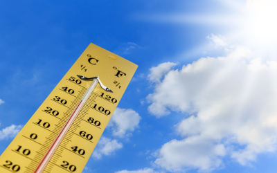 Indian Cities Are Expected To Heat Up Faster, Raising Extreme Heat Risks