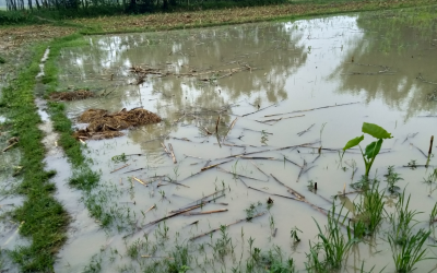 Spain And Portugal Farmers Count Losses After Storm Marta Devastates Crops