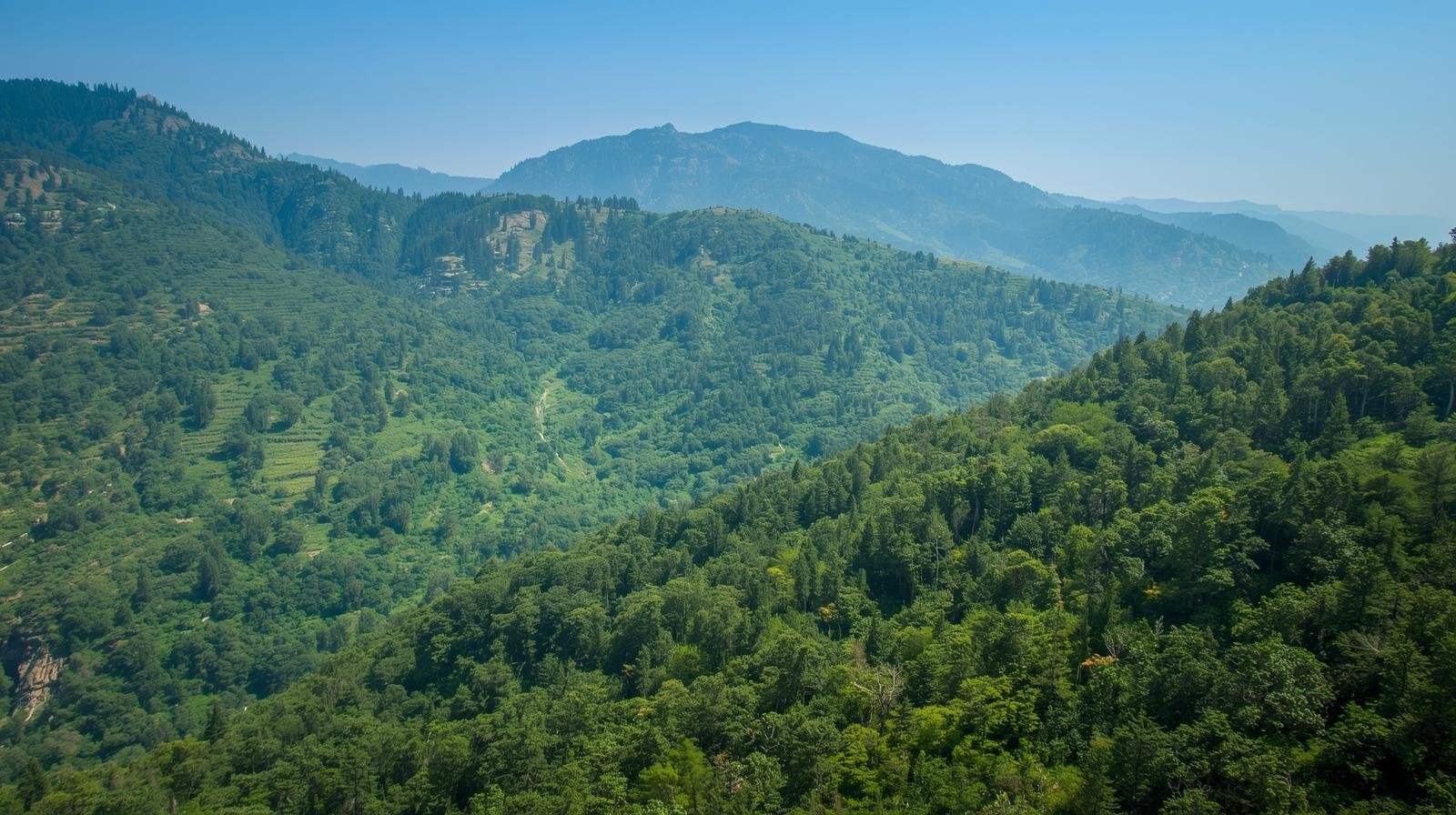 Himachal Aims to Increase Forest Cover to 31% by 2030