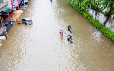 Asia Leads Fight Against Climate Disasters, Saving Over 3 Lakh Lives