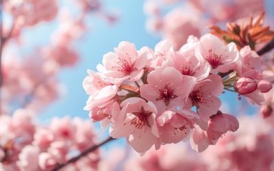Peach Blossom Day Celebrates Spring’s Arrival In Full Bloom