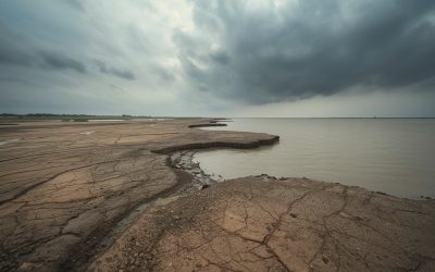 Ganga Delta’s Rapid Sinking Outpaces Sea-Level Rise, Raising Fresh Concerns