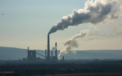 Japan’s FY2024 Greenhouse Gas Emissions Drop To Record Low