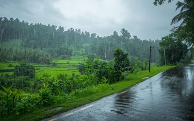 Summer Rainfall In Kerala Falls 67% Below Normal, Weather Relief Likely Ahead