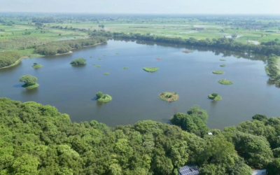 Shekha Jheel Earns Ramsar Status, Boosting India’s Wetland Conservation Efforts