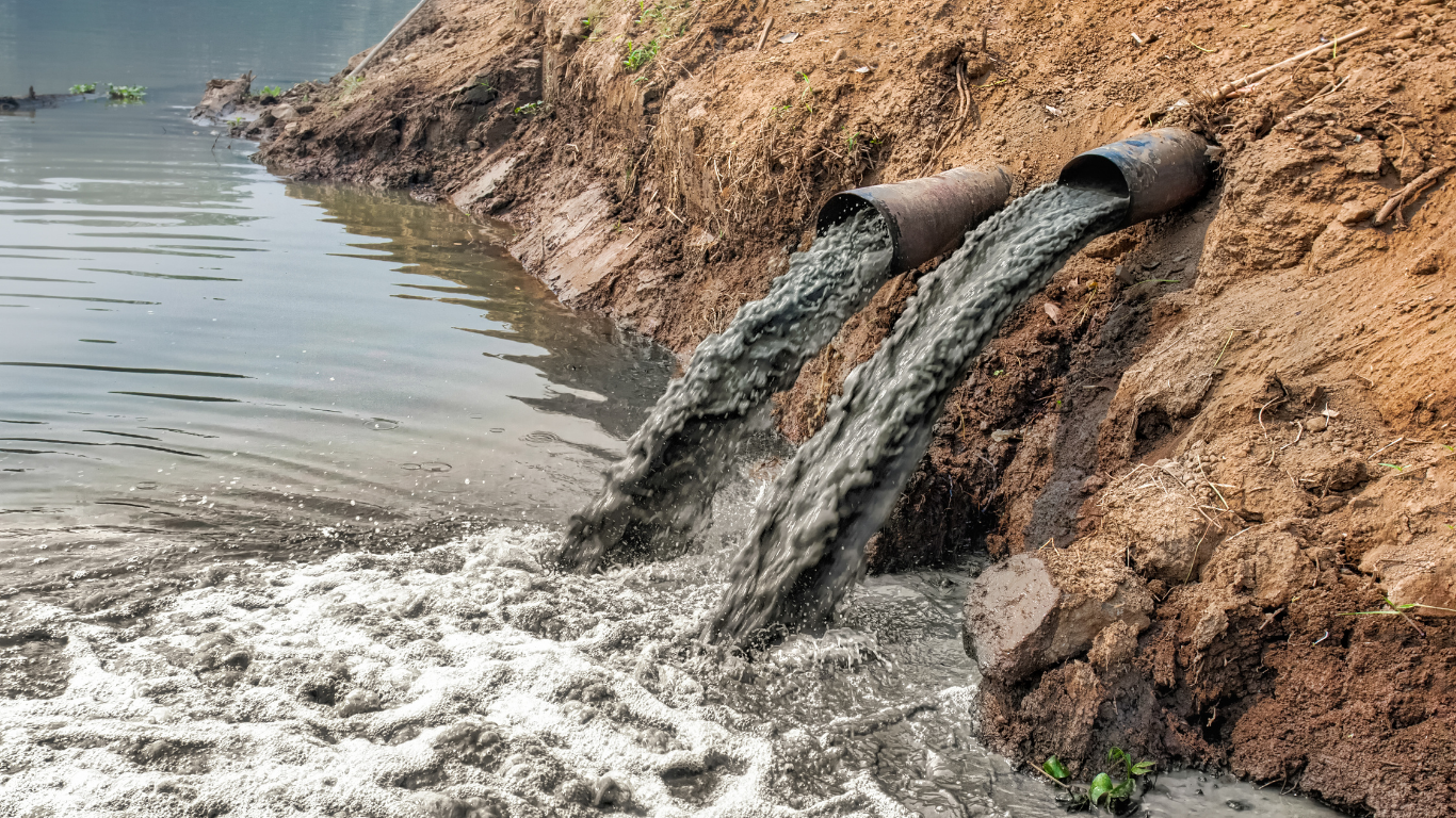 Environment crimes in India drop 16.4% in 2024