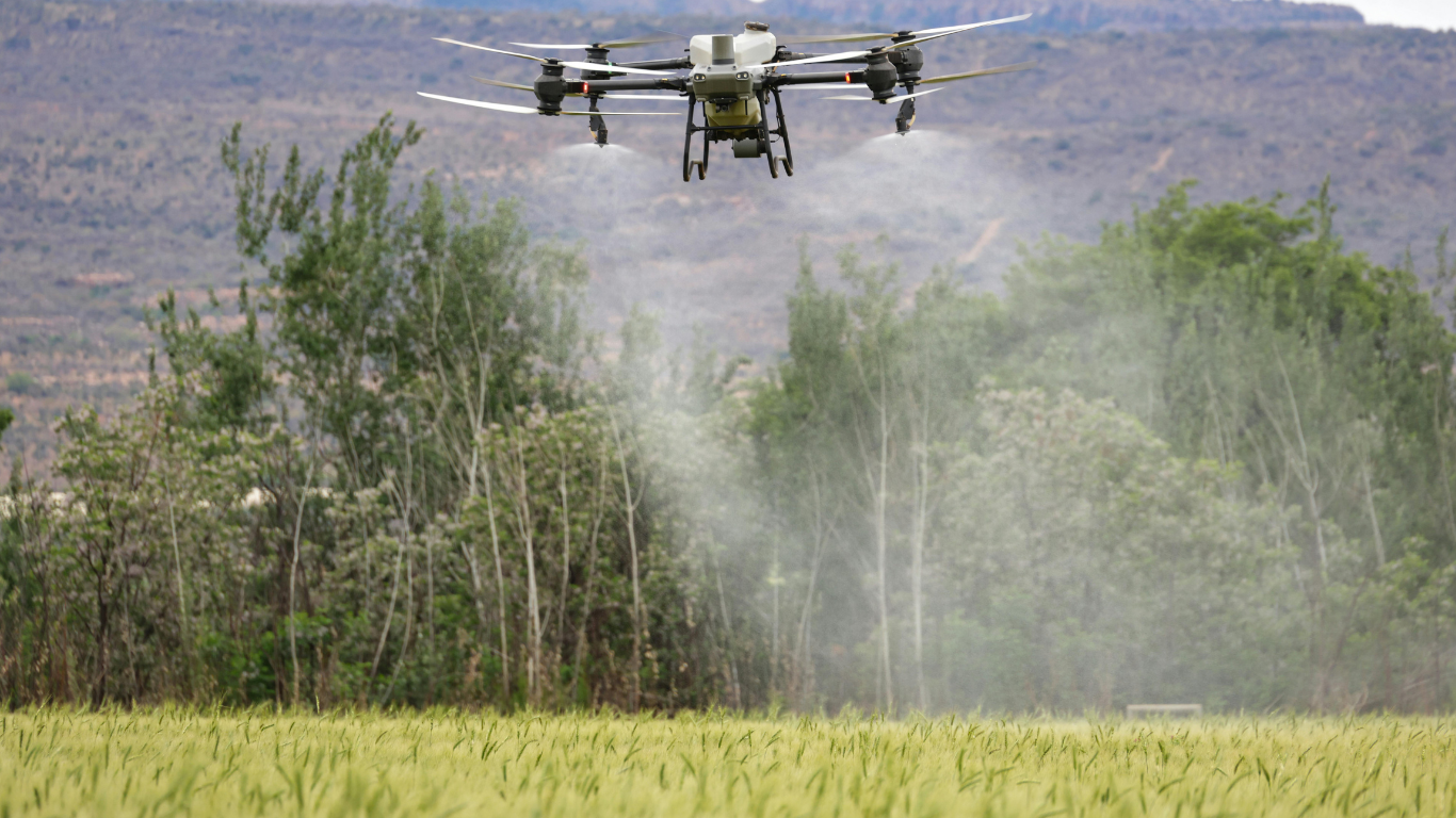 US forests sprayed with cancer-linked chemical