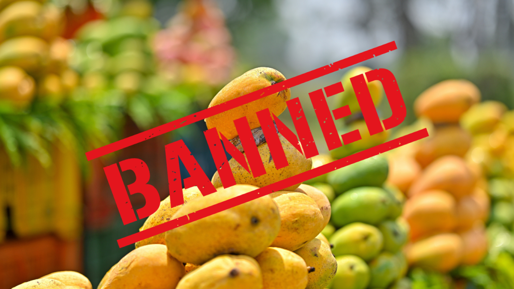 Japan bans Indian mango shipments