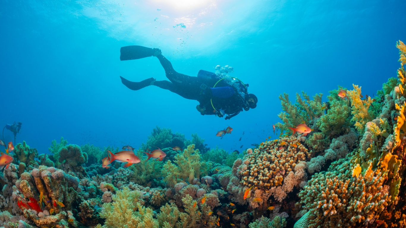 Climate-Resilient Coral Reefs