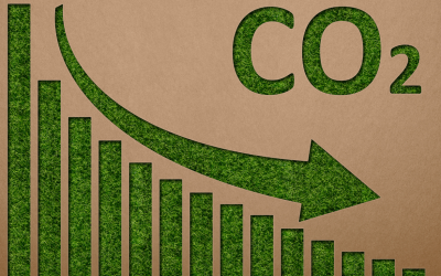 China’s 2026-2030 Carbon Peak Action Plan Aims To Speed Up Low-Carbon Transition