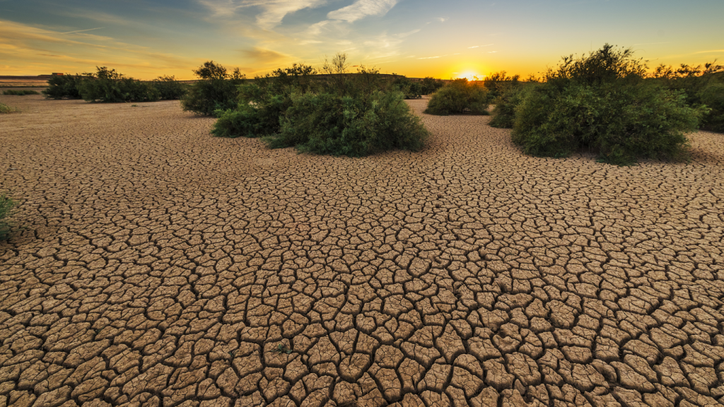 Scientists Say Climate Change Is Making Droughts More Severe Across Europe - Sigma Earth