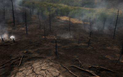 Scotland’s Cairngorms Devastated by Catastrophic 12-Day Wildfires