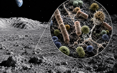 NASA Finds Human Microbes Could Survive On Moon’s South Pole