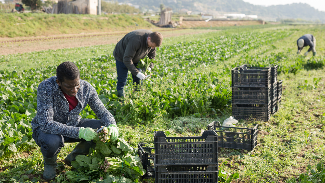 Global food prices hit a three-year high